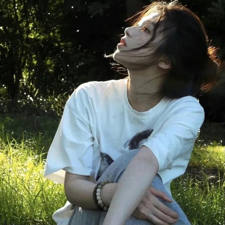 王朝的陷落